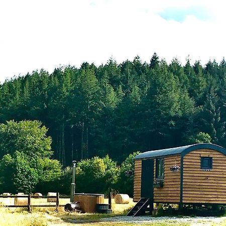 ローンソン Roosters Retreatヴィラ エクステリア 写真
